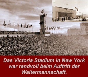 Viktoria Stadium New York